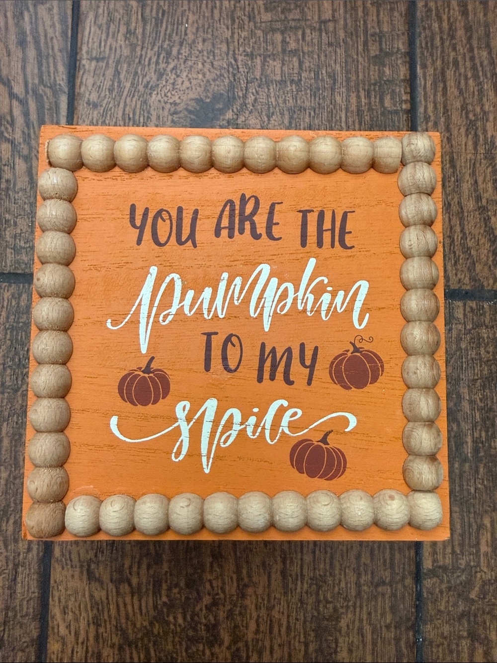 Cottagecore Beaded Border Fall Decor Sign - You Are The Pumpkin To My Spice